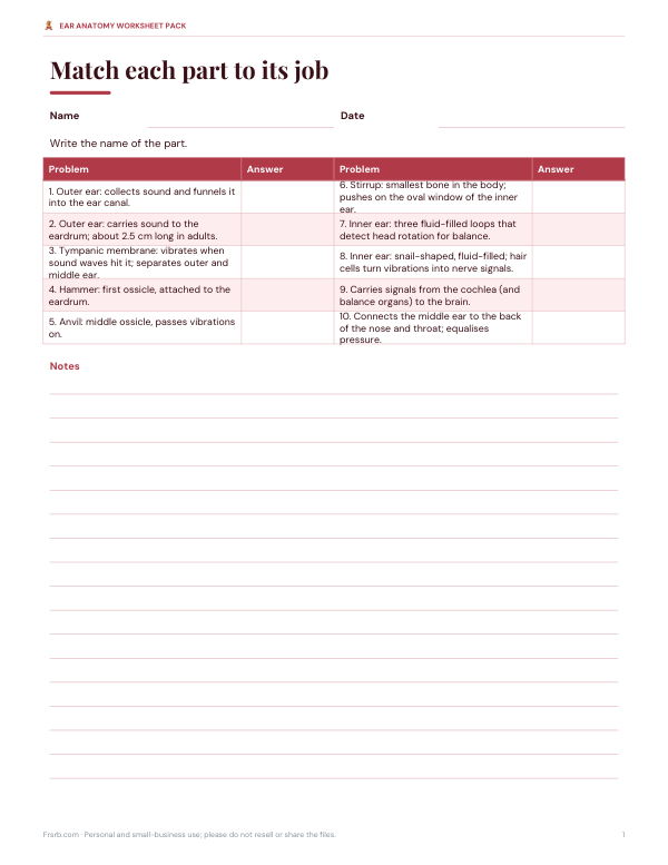 Preview of Printable Ear Parts and Functions Worksheet